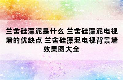 兰舍硅藻泥是什么 兰舍硅藻泥电视墙的优缺点 兰舍硅藻泥电视背景墙效果图大全